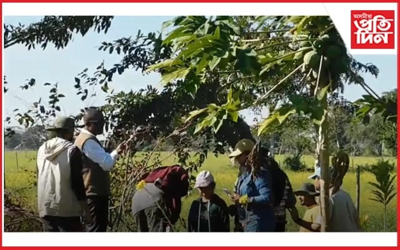 কাজিৰঙা ভ্ৰমণ কৰি আপোনপাহৰা হৈ পৰিল মুম্বাইৰ পৰ্যটক