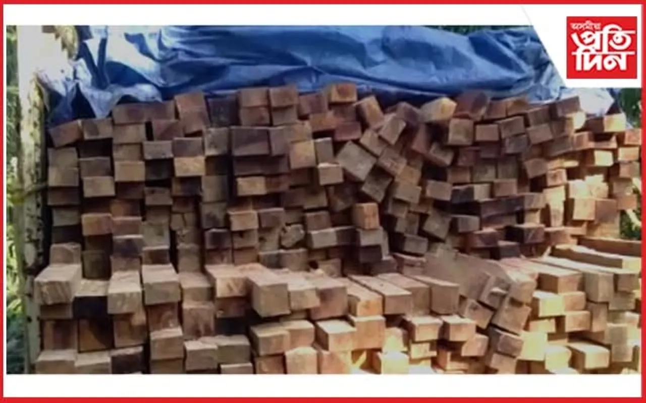 কচুৱাৰ জুৰিৰপাৰত কাঠৰ গাড়ী জব্দ
