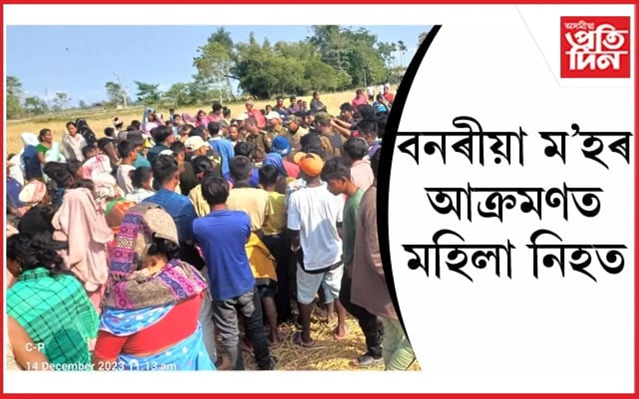 কাজিৰঙাত বনৰীয়া ম'হৰ আক্ৰমণত মহিলা নিহত...