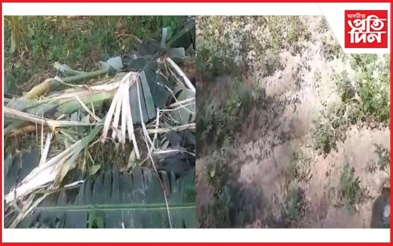 জামুগুৰিহাটত হাতী-মানুহৰ সংঘাত অব্যাহত, তহিলং খেতি-পথাৰ 