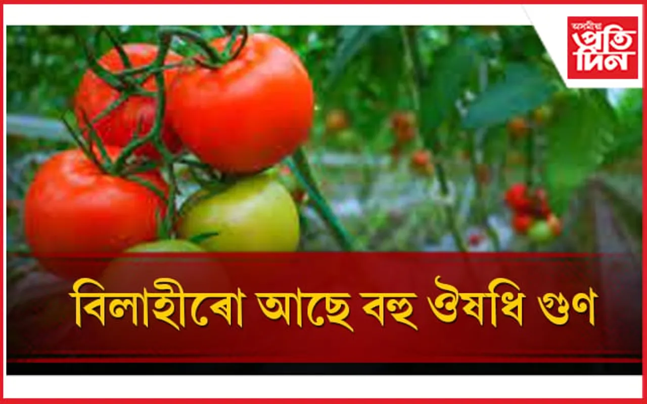 এক গিলাচ বিলাহীৰ ৰসৰে আৰম্ভ কৰক আপোনাৰ প্ৰতিটো দিন