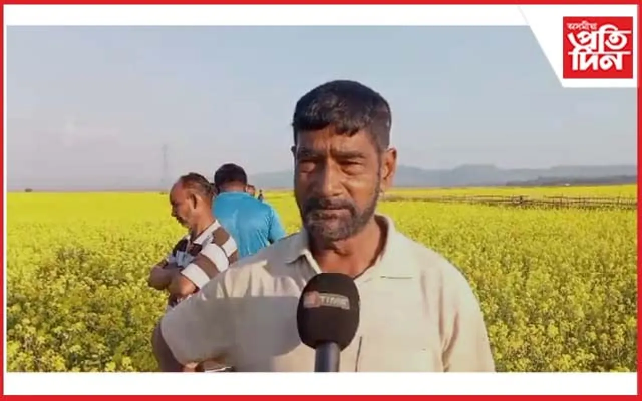 জলাহ গাঁৱৰ কৃষকে দেখুৱাইছে আদৰ্শ : দুহেজাৰ বিঘা কৃষিভূমিত সৰিয়ঁহ খেতি 