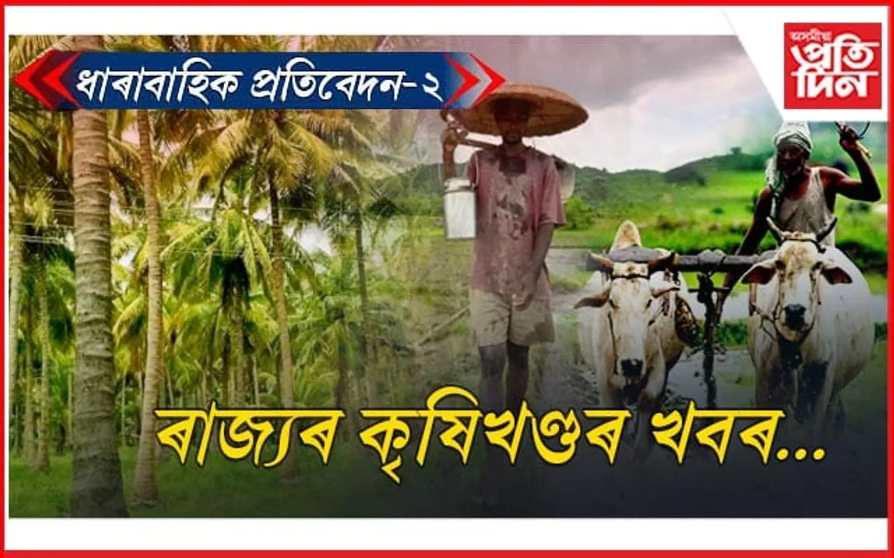 নামত আছে নাৰিকল উন্নয়ন ব'ৰ্ডঃ কৃষকেই নাজানে কাৰ্যালয় ক'ত !