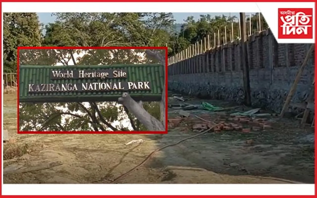 কাজিৰঙাৰ কৃষিভূমিত বণিয়াৰ শেনচকু