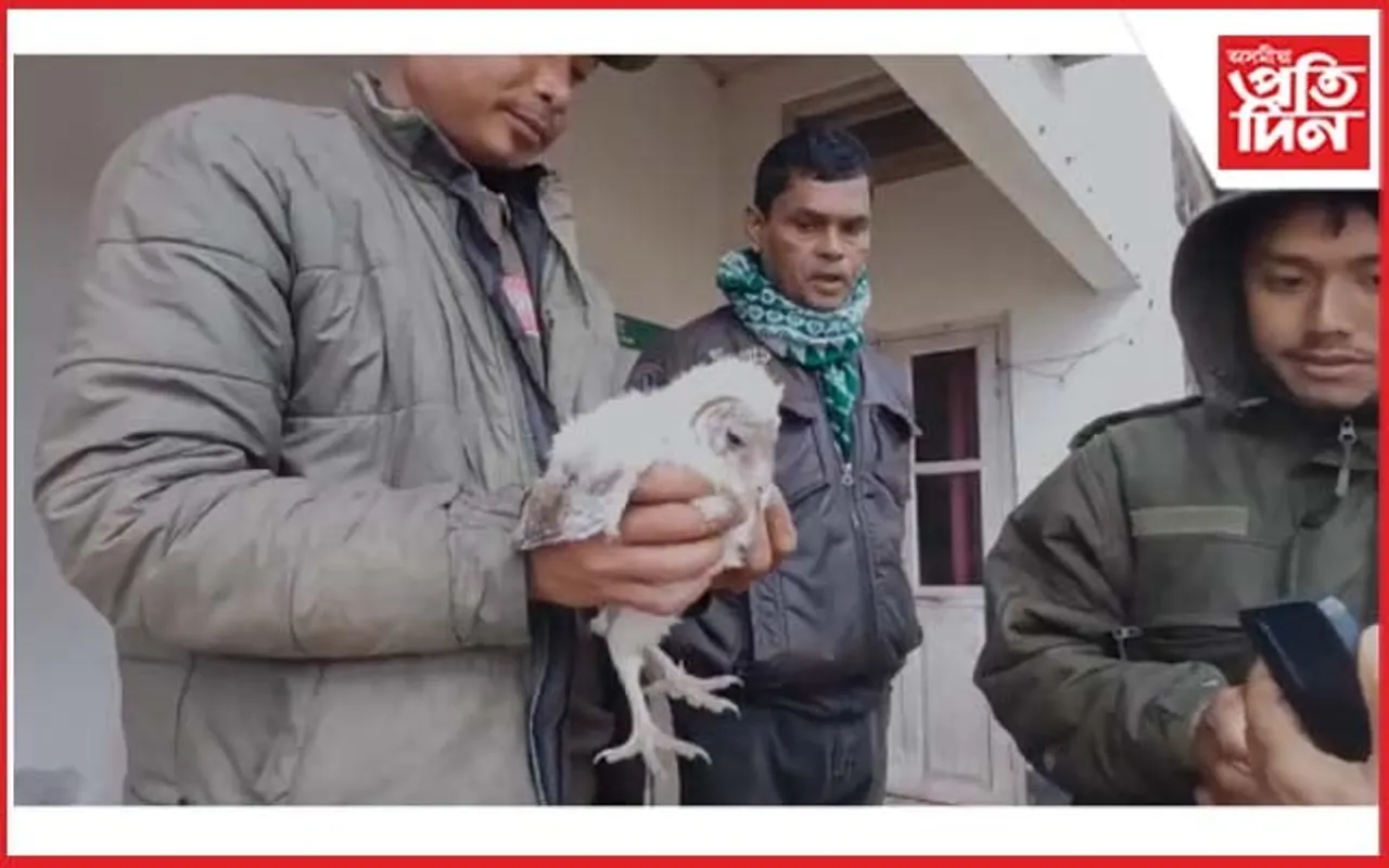 কঠীয়াতলীত লক্ষ্মী ফেঁচা উদ্ধাৰ