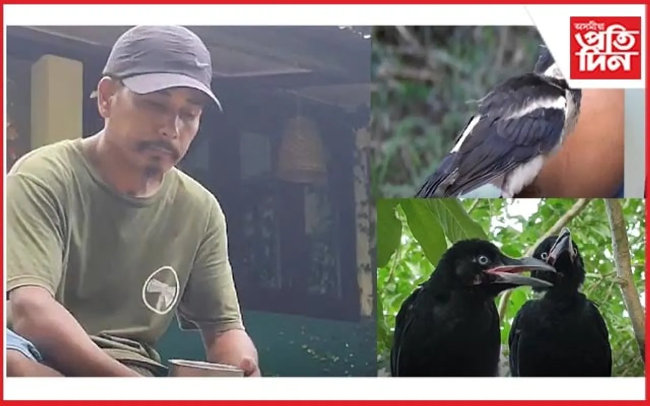 উদ্ধাৰ কৰা বন্যপ্ৰাণীক পৰিচৰ্যা কৰি বনত মুকলি কৰি প্ৰশান্তি লাভ কৰা লোকজন