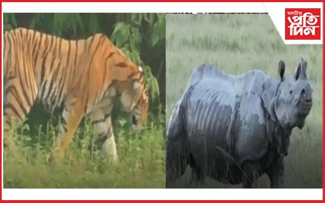 ধন খৰচ নকৰাকৈ উপভোগ কৰিব বিচাৰিছে নেকি কাজিৰঙাৰ সৌন্দৰ্য ? তেন্তে আহক এইখন গাঁৱলৈ...