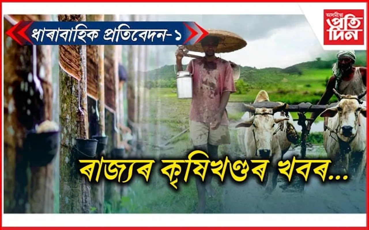 ধাৰাবাহিক প্ৰতিবেদন ১/ কি কৰি আছে ৰবৰ ব'ৰ্ডে,খবৰ ৰাখে কোনে ?