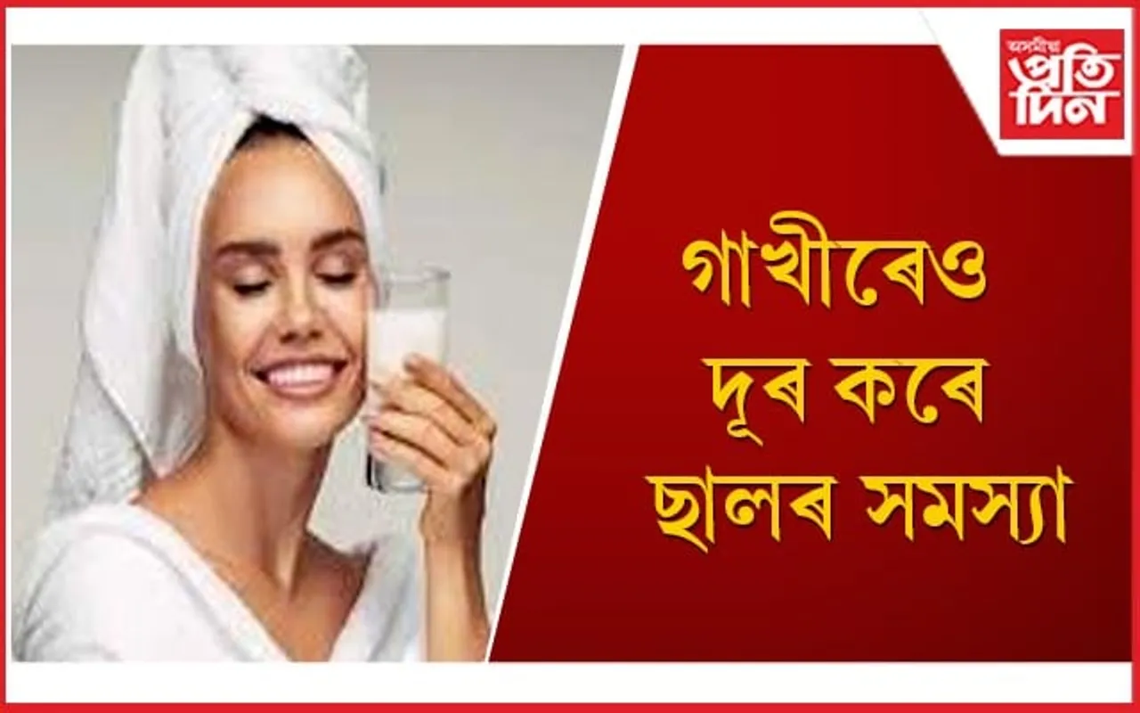 নামী-দামী ময়েশ্চাৰাইজাৰ সলনি ছালত গাখীৰ লগাব