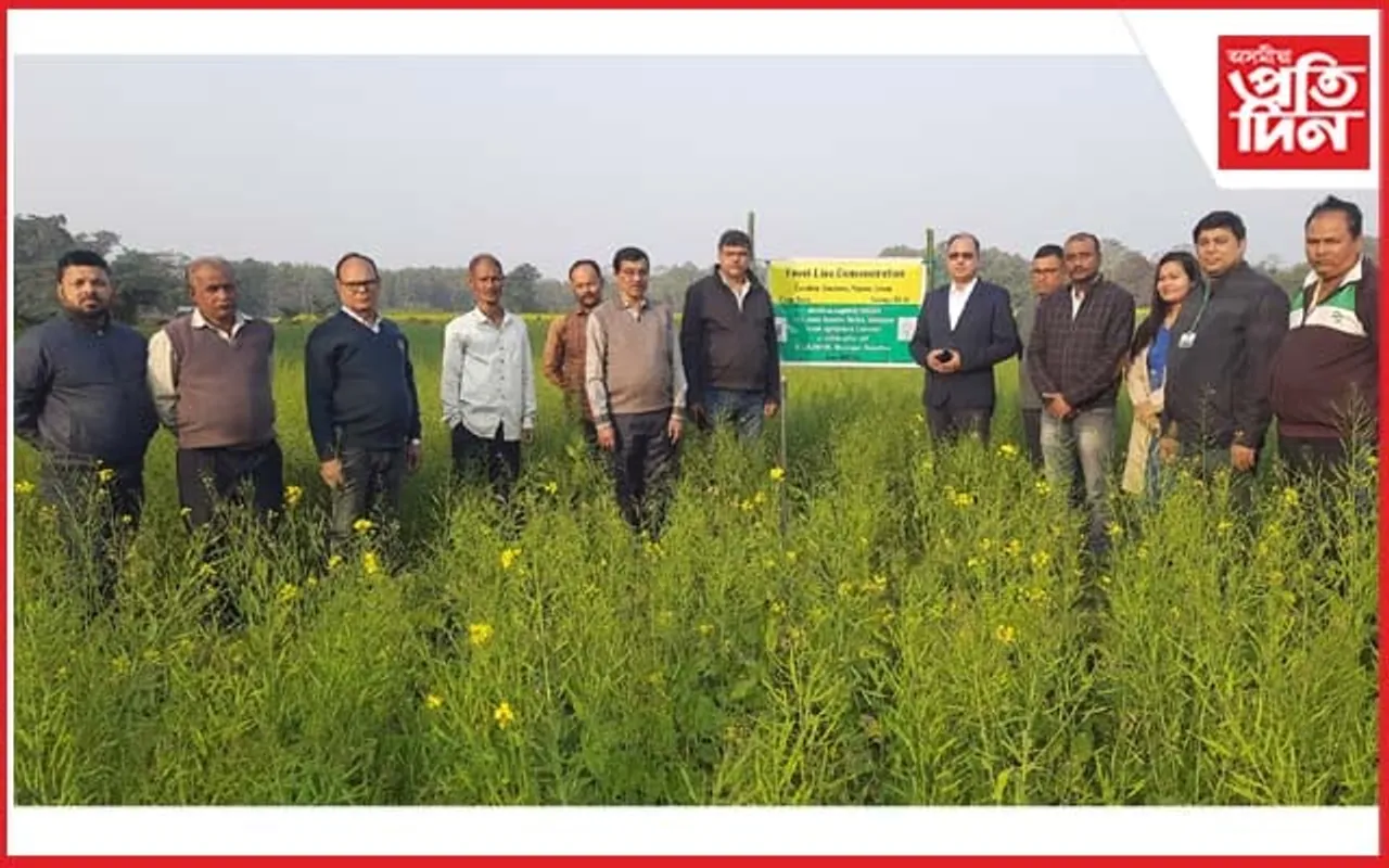 ৰাজস্থানৰ সৰিয়হ গৱেষণা সঞ্চালকালয়ৰ সঞ্চালকৰ সৰিয়হৰ পথাৰ পৰিদৰ্শন