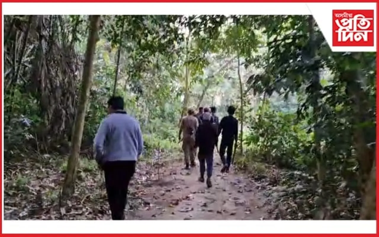 নগাঁৱৰ ননৈত অব্যাহত বাঘৰ আতংক
