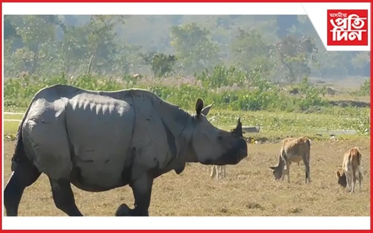 ঘৰচীয়া জীৱ-জন্তুৰ লগত থাকি ভালপোৱা এটা গঁড়