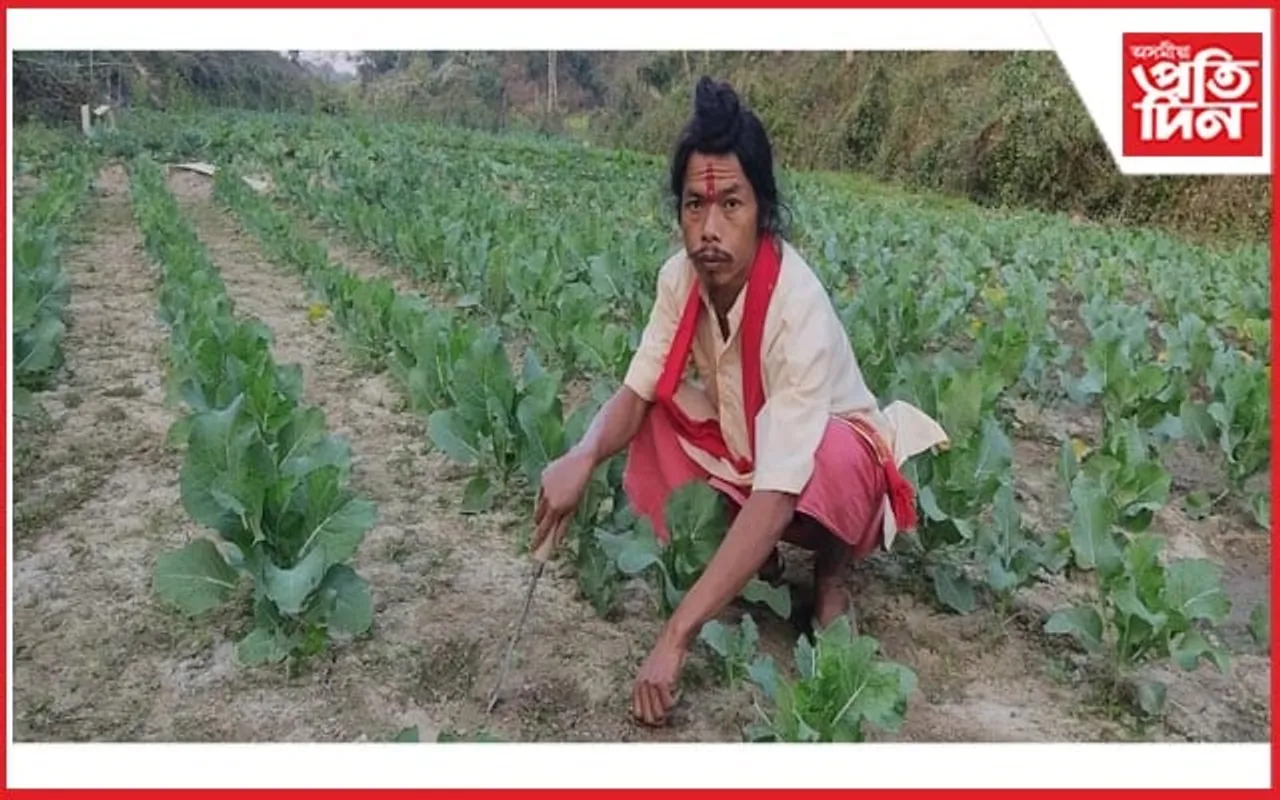 কলিয়াবৰত জৈৱিক কৃষি কৰ্মৰে আদৰ্শ দাঙি ধৰিছে খেতিয়ক লক্ষীৰাম ৰংফাৰে