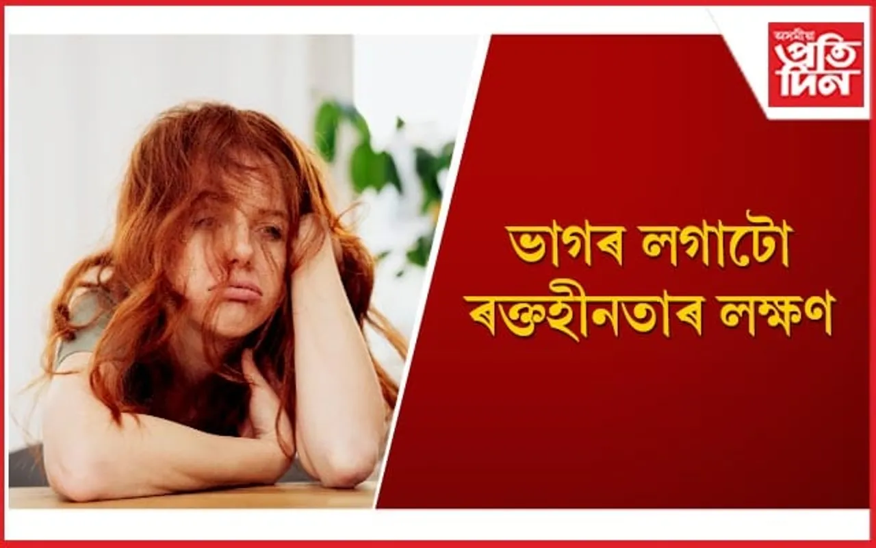 আইৰণৰ অভাৱ দূৰ কৰিবলৈ সন্তানক খাবলৈ দিয়ক এই ৬ বিধ খাদ্য