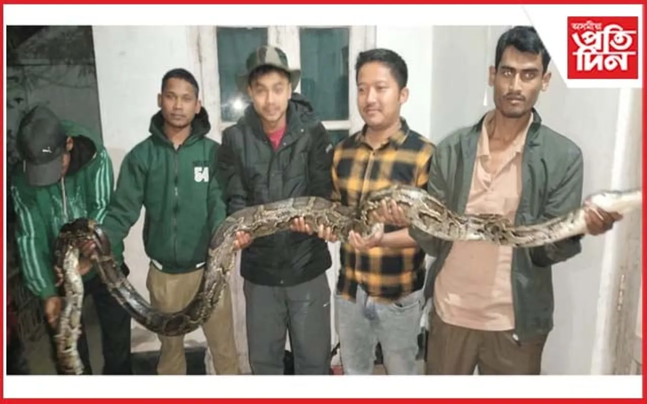 কঠীয়াতলীত উদ্ধাৰ অজগৰ