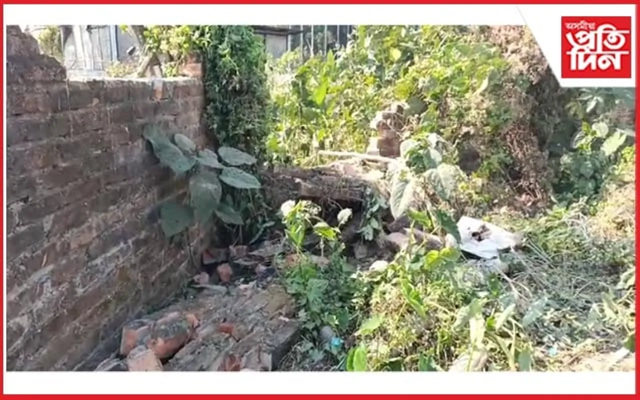 বিহপুখুৰীত বনৰীয়া হাতীৰ উপদ্ৰৱ: তহিলং কৰিলে খেতি-পথাৰ, ঘৰ-বাৰী সকলো