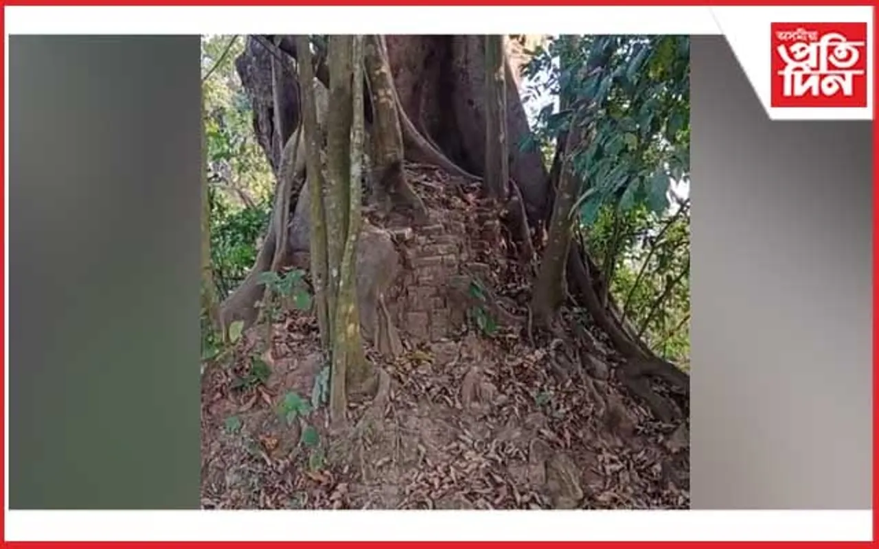 যোগ আৰু নেচাৰ’পেথি চিকিৎসালয় নিৰ্মাণে খামটি দৌলৰ অস্তিত্বত আঘাট সানিব নেকি?