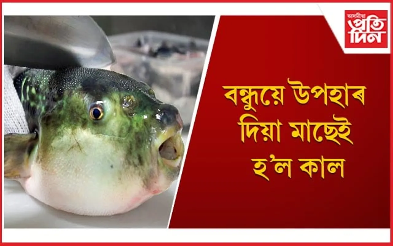 সাগৰীয় মাছ খাওঁতে সাৱধান হ’ব, অন্যথা যাব পাৰে আপোনাৰো প্ৰাণ 