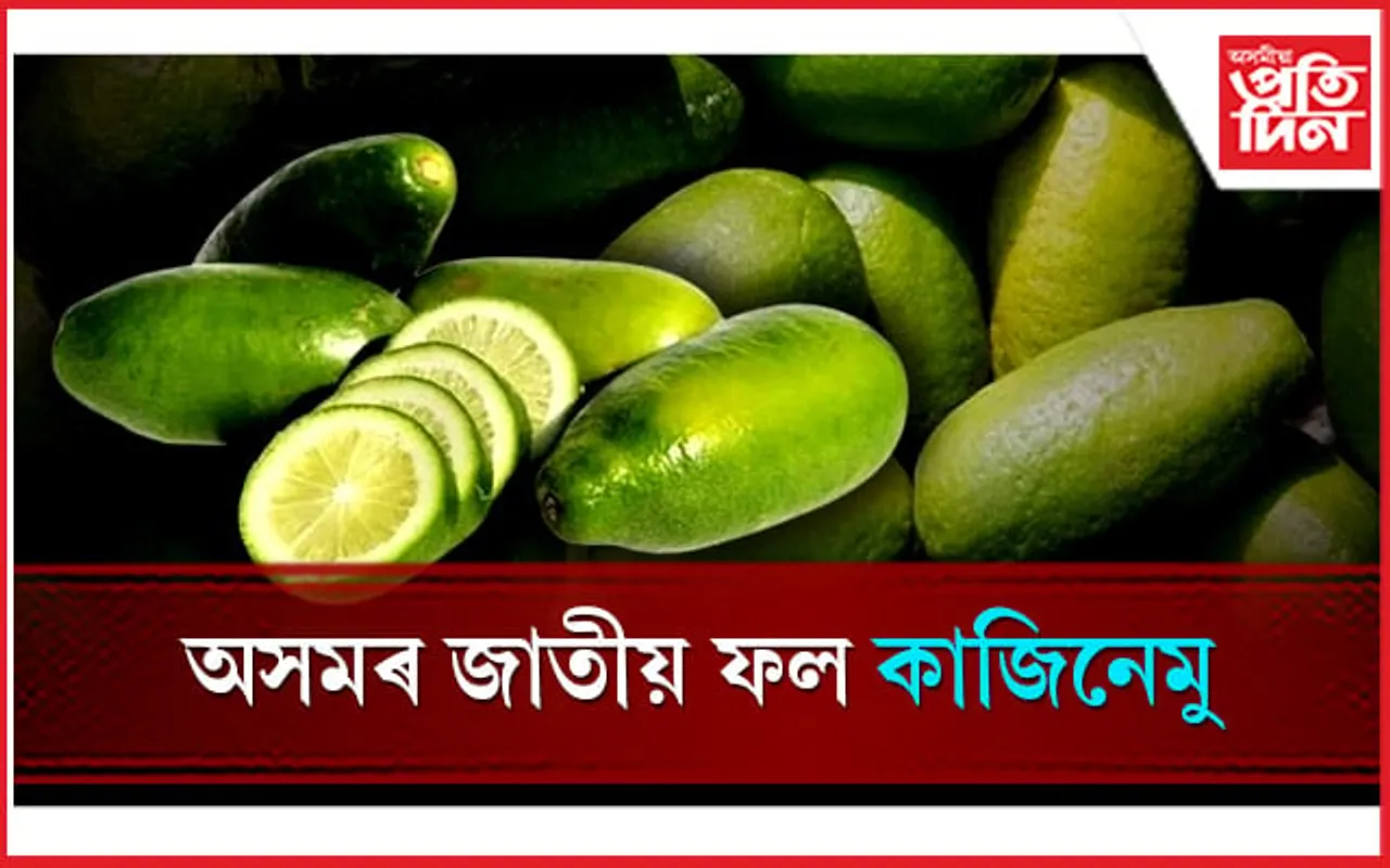 কাজিনেমুক জাতীয় ফল ঘোষণা
