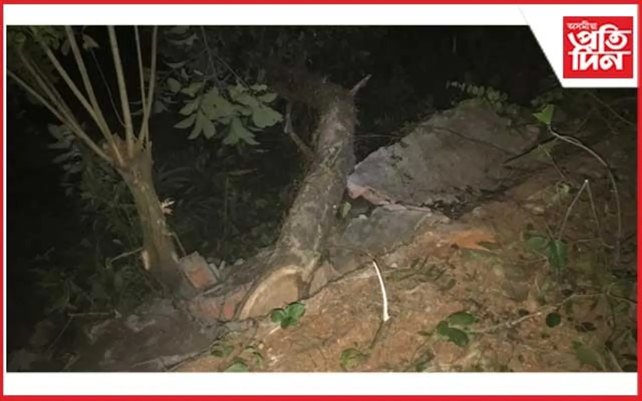 কার্যালয়ত অসুৰক্ষিত মূল্যৱান চৰকাৰী কাঠ ঠিকাদাৰৰ ঘৰতহে সুৰক্ষিত!