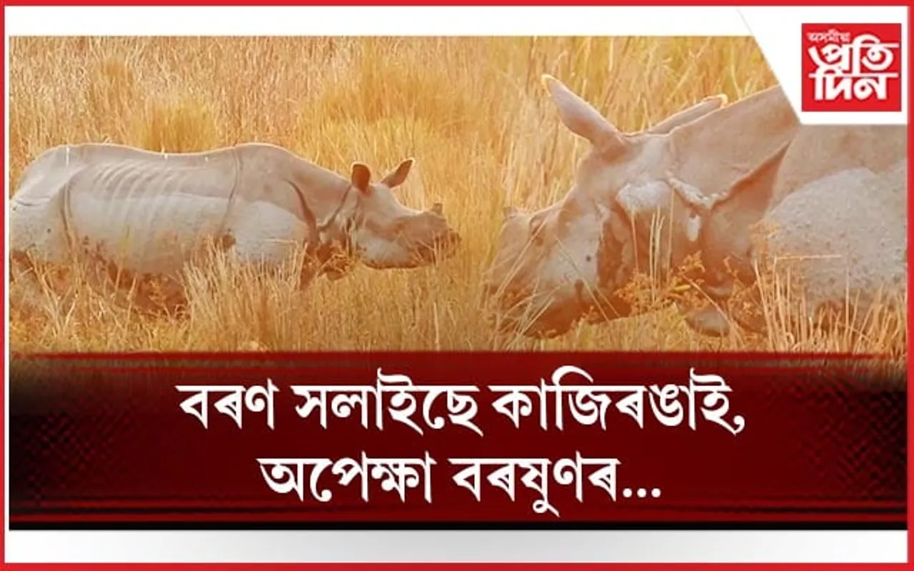 বসন্তৰ প্ৰাকক্ষণত বৰণ সলাইছে কাজিৰঙাই 