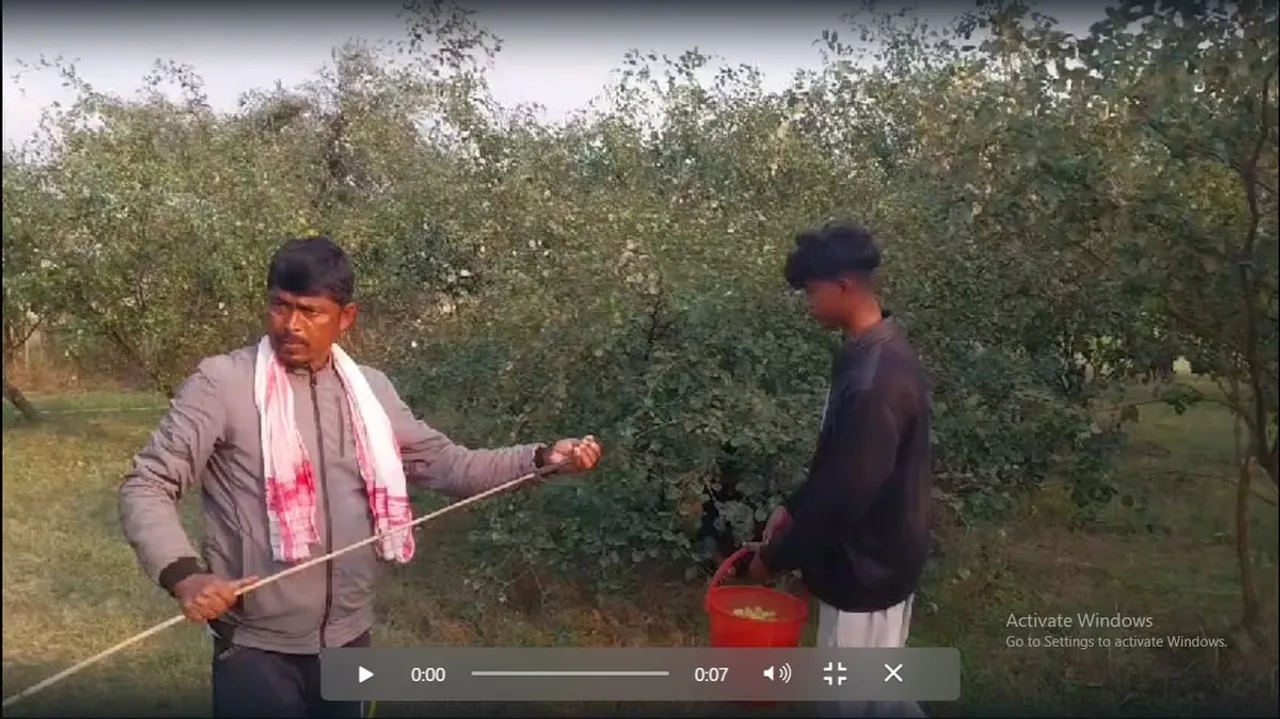 ডিক্ৰং নদীৰ বালিচাপৰিত কৃষি বিপ্লৱ : সাতবছৰত কোটিপতি বিহপুৰীয়াৰ প্ৰশান্ত...