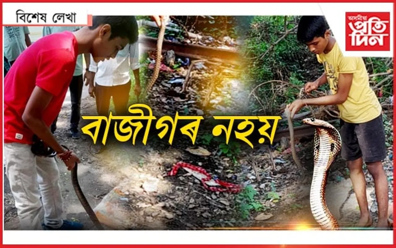 মোডী, মুৰ্মুৰ মন জয় কৰা- 'দ্য স্নেক বয়'