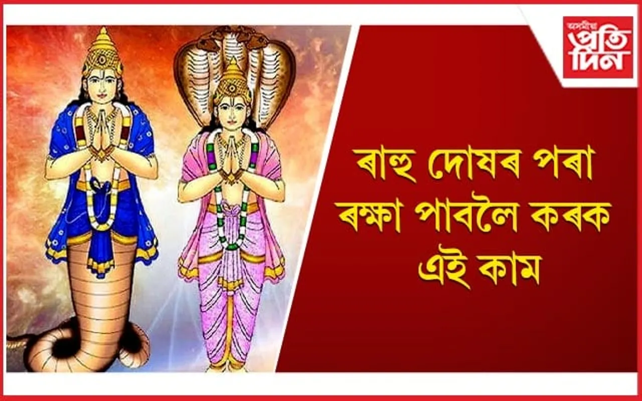 আপুনিও ৰোগীয়া, লোকচানৰ সন্মুখীন হৈ ভাগৰিছে নেকি ?