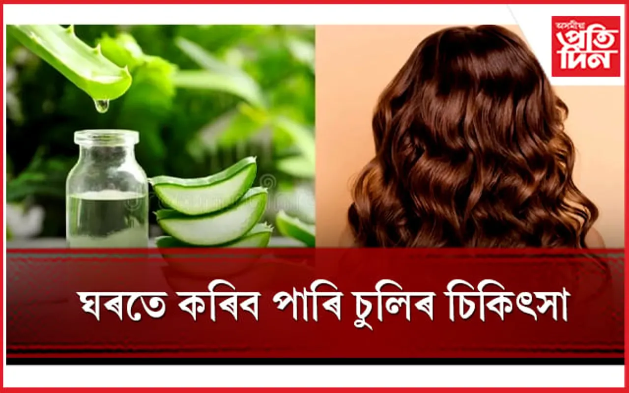 চুলিৰ উচিত বিকাশৰ বাবে কিদৰে যত্ন ল’ব লাগে , জানি লওঁক 