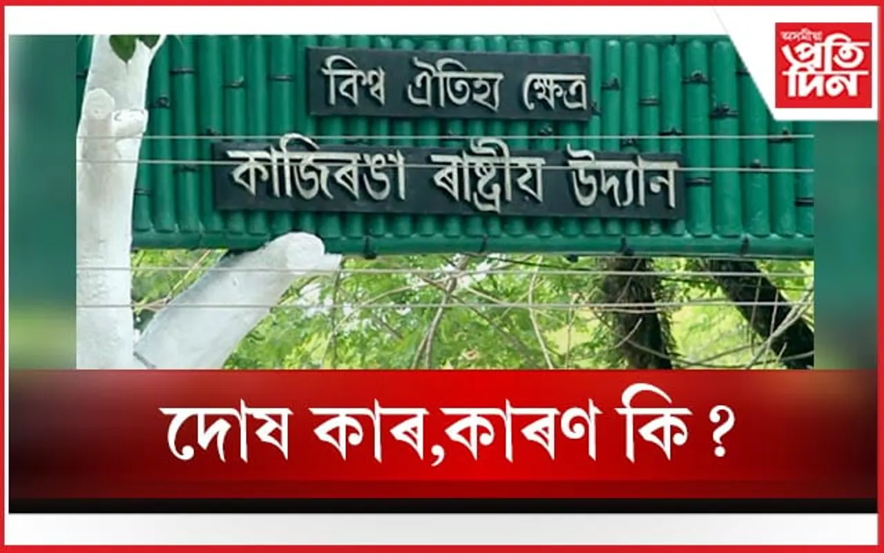 কাজিৰঙা ৰাষ্ট্ৰীয় উদ্যান : চলিত পৰ্যটন বৰ্ষত হ্ৰাস পাইছে পৰ্যটকৰ সংখ্যা