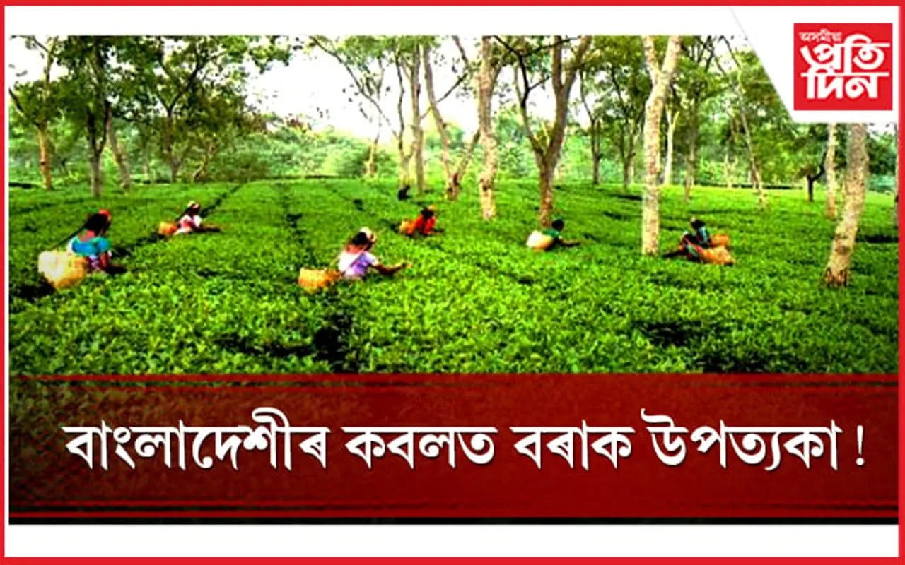 বাংলাদেশীয়ে ভৰি পৰিছে সমগ্ৰ বৰাক উপত্যকা ! 