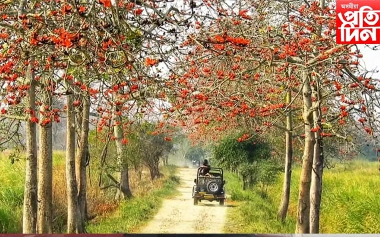 সেউজ প্ৰকৃতিৰ ৰং সলাই ফাগুন নামিছে ধৰালৈ