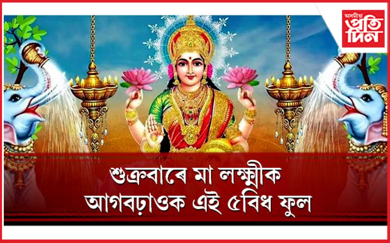 কোনোদিনে অভাৱ নহয় ধন-সম্পত্তিৰ, সুখৰ হ’ব গোটেই জীৱন 