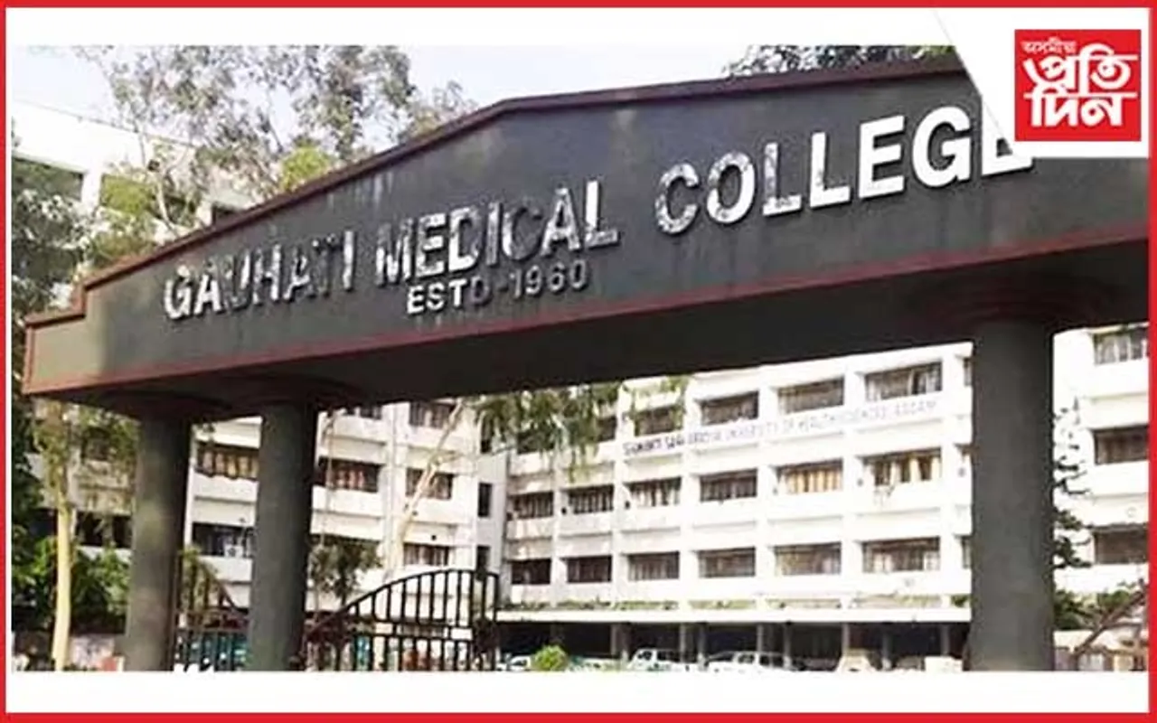 'জিএমচিএইচ'ত ওলাইছে চোৰ