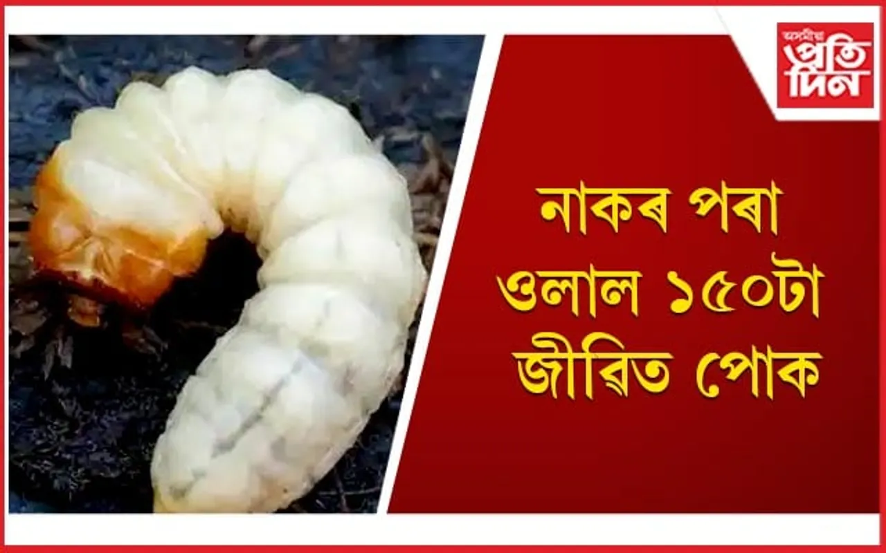 ছ’চিয়েল মেডিয়াত ভাইৰেল এজন ব্যক্তিৰ শিহৰণকাৰী ভিডিঅ’