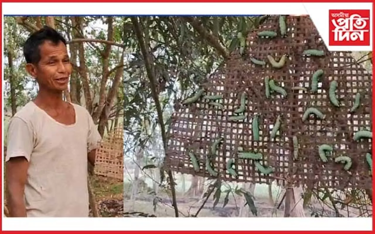 ইন্দ্ৰানুজ সোনোৱালৰ মুগা পালনত ৩৫  বছৰীয়া যাত্ৰা