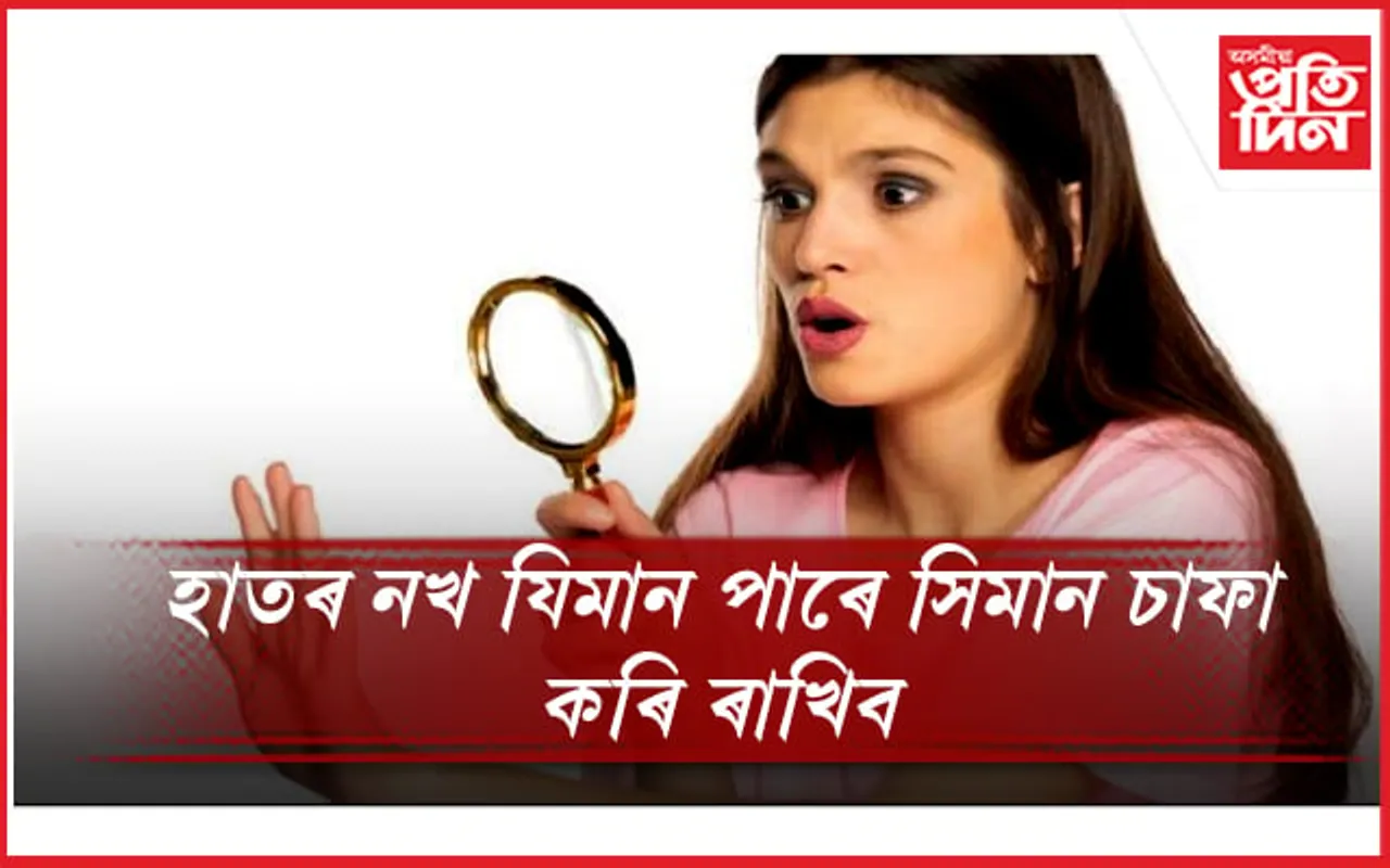 বেক্টেৰিয়া-ভেঁকুৰৰ ঘৰ নখ, অধ্যয়নত পোহৰলৈ আহিছে আচৰিত তথ্য