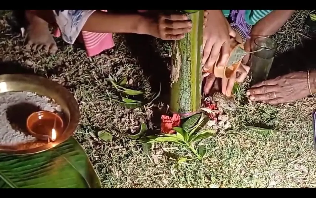 পানীৰ সংকটত সমগ্ৰ মধ্য অসমঃ ভেকুলীৰ বিয়া পাতিছে ৰাইজে...