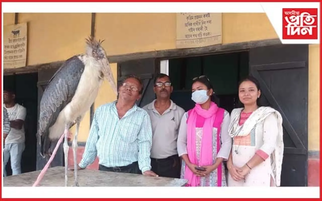 কামপুৰত অসুস্থ অৱস্থাত বৰটোকোলা উদ্ধাৰ 