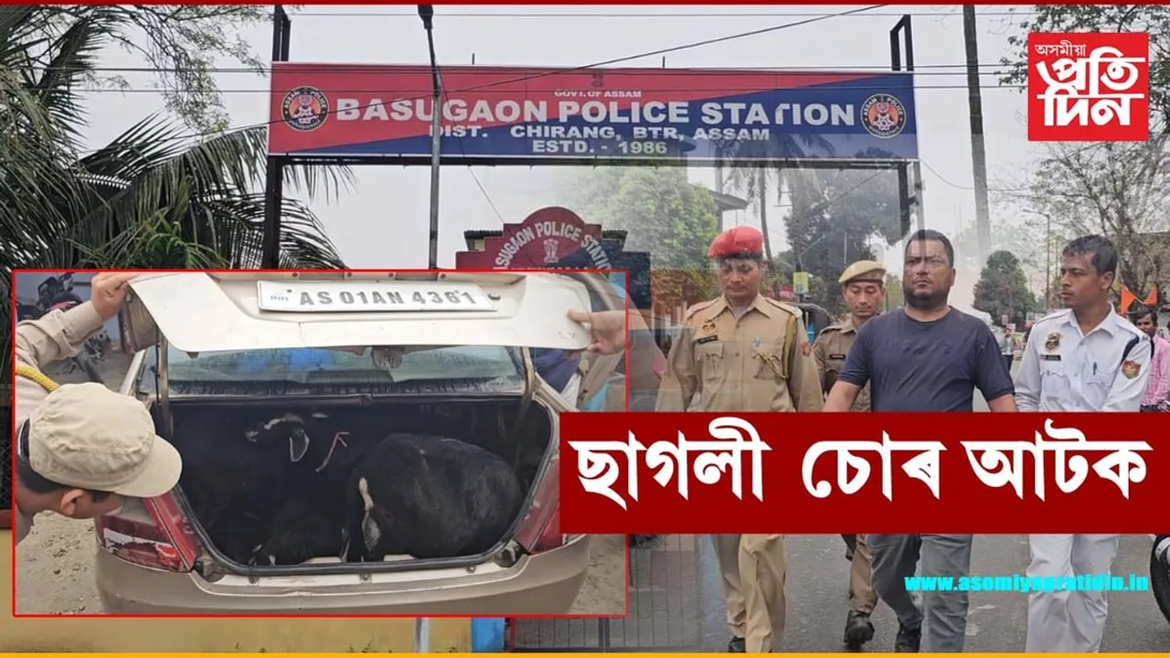 বাসুগাঁৱত যানবাহন আৰক্ষীৰ জালত বাহনসহ ছাগলী চোৰ আটক...