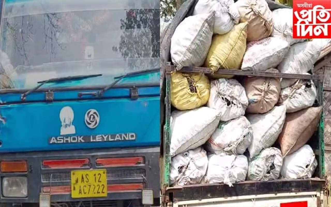 চাৰিদুৱাৰত অবৈধভাৱে কঢ়িওৱা দুখনকৈ কয়লা আৰু শিল ভৰ্তি বাহন জব্দ