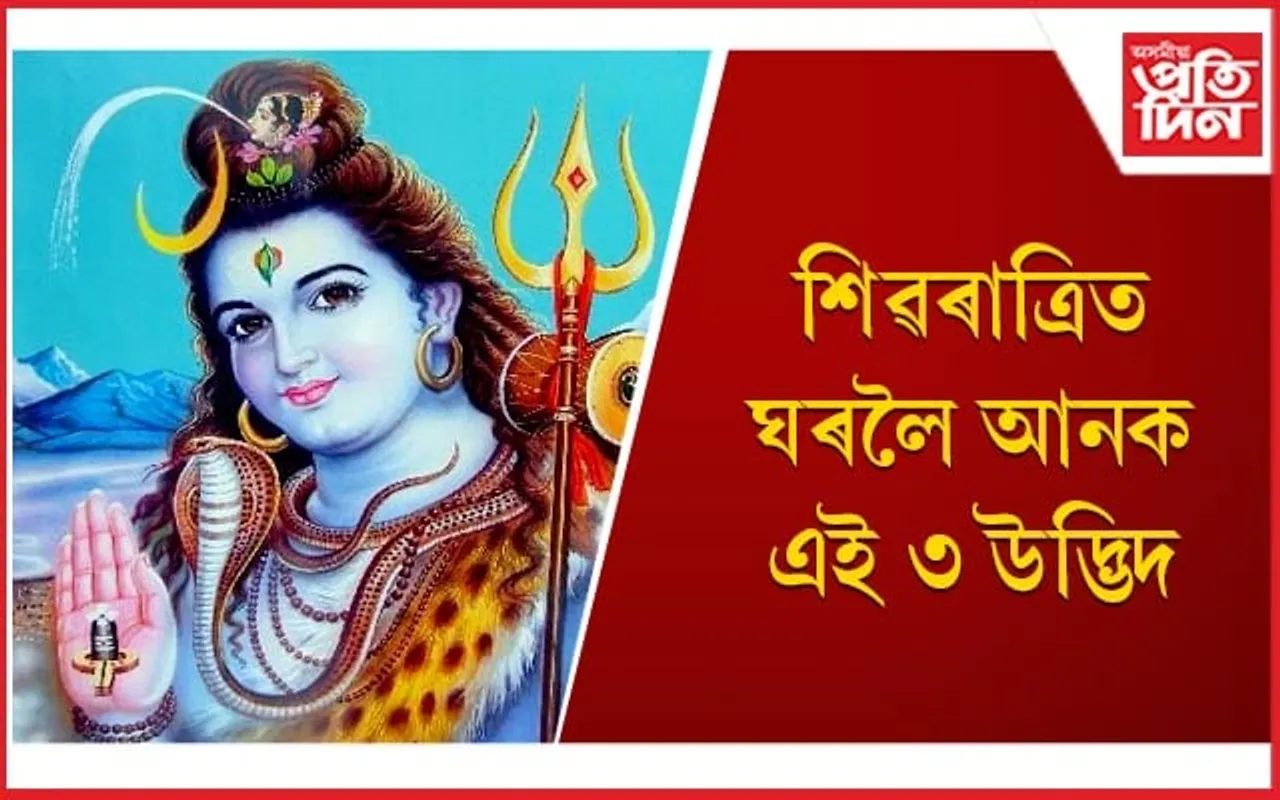 ঘৰত সুখ-শান্তি বৰ্তি থাকিবলৈ কৰক এই কাম 
