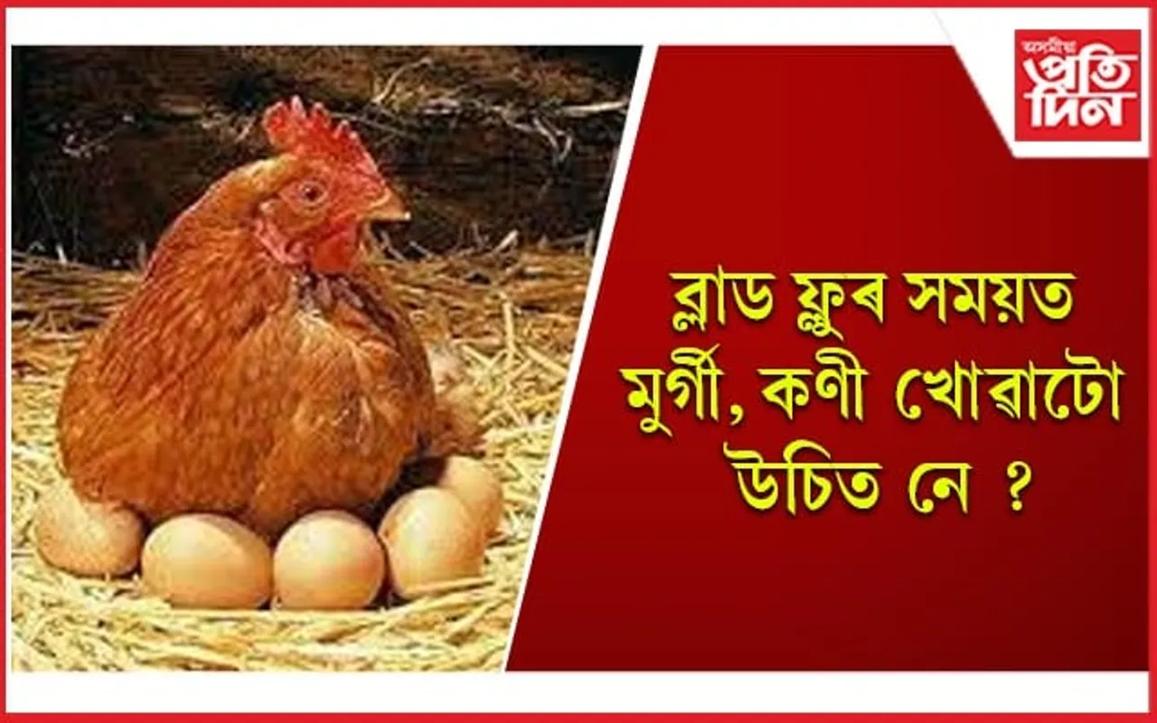 বিশ্ব স্বাস্থ্য সংস্থাই আগবঢ়াইছে পৰামৰ্শ, সৰ্তক হওঁক 