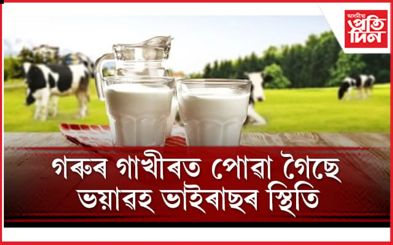 বিশ্ব স্বাস্থ্য সংস্থাই জাৰি কৰিছে সতৰ্কবাণী, সাৱধান হওঁক