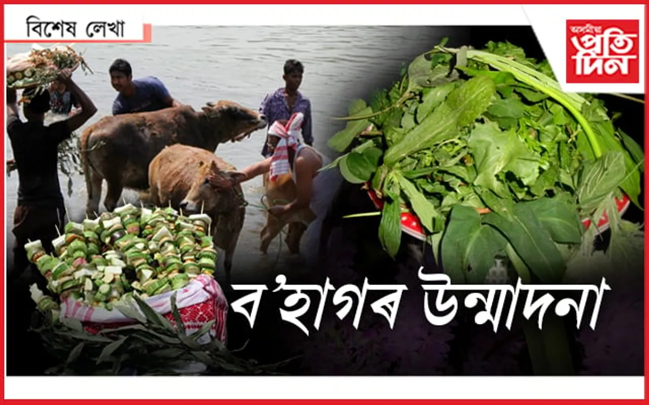 পৰম্পৰা, ঐতিহ্য ৰক্ষাৰে ৰাজ্যজুৰি পালন গৰু বিহু...