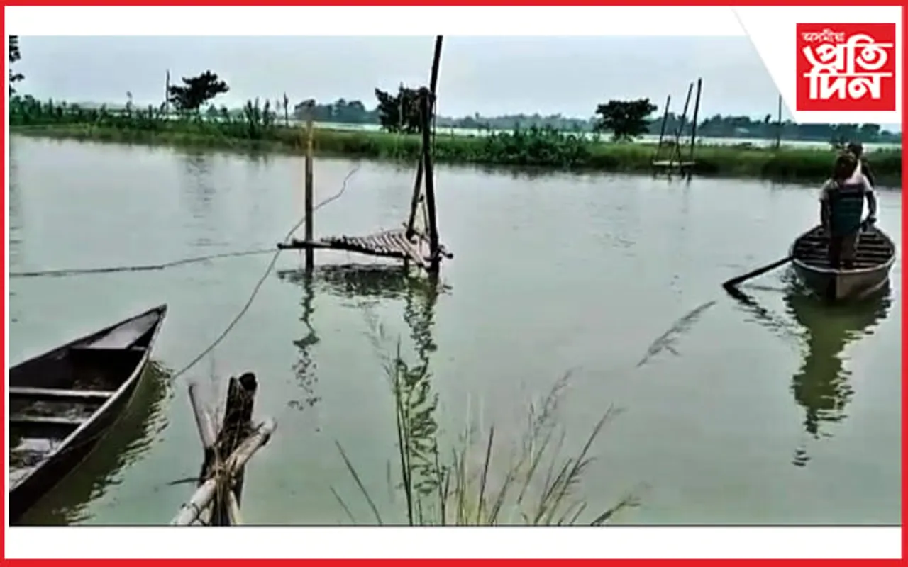 ঘিলামৰাত থলুৱা মাছৰ চোৰাং চিকাৰ...