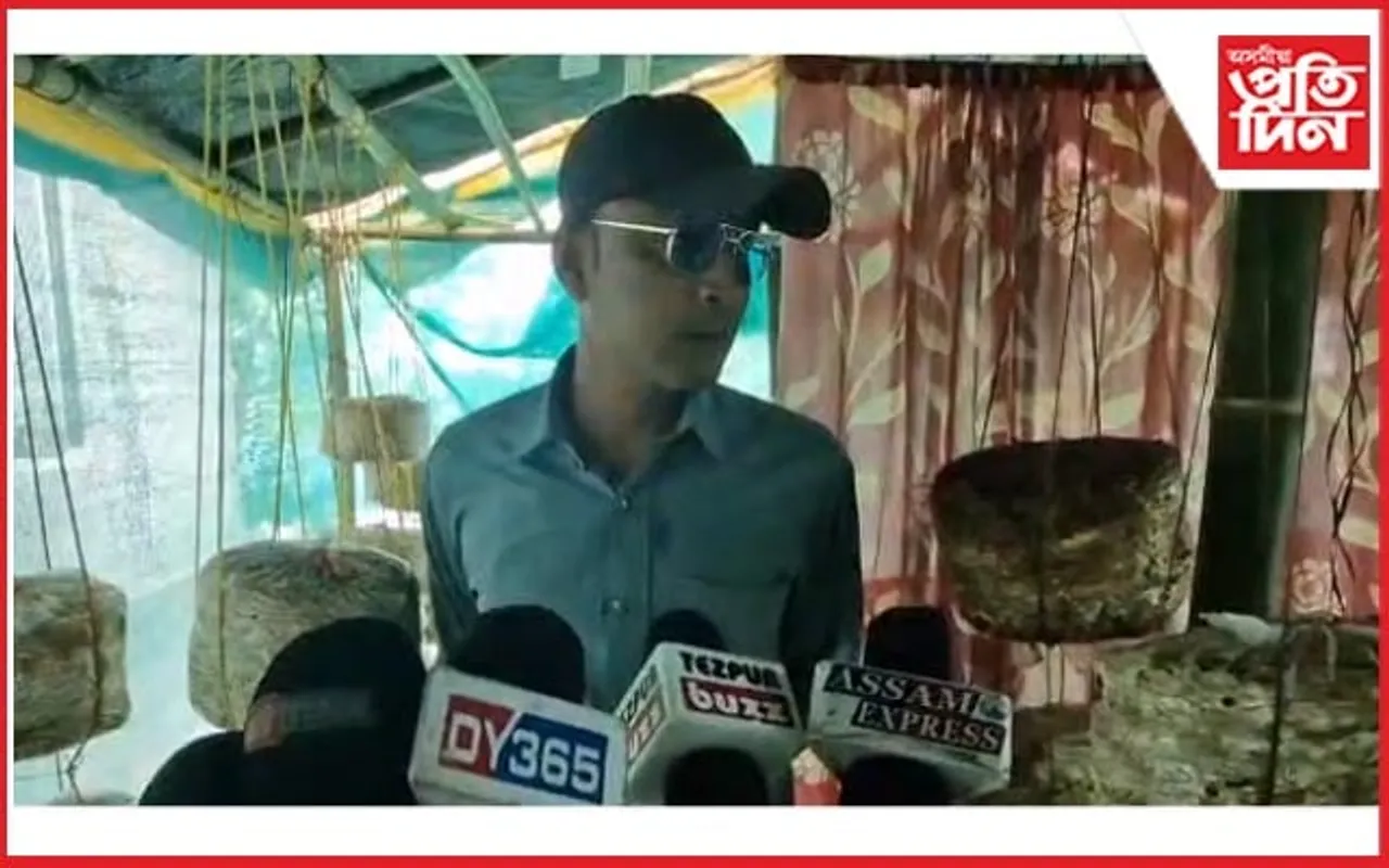 জামুগুৰিহাটত কাঠফুলাৰ খেতিৰে স্বাৱলম্বিতাৰ নিদৰ্শন যুৱকৰ