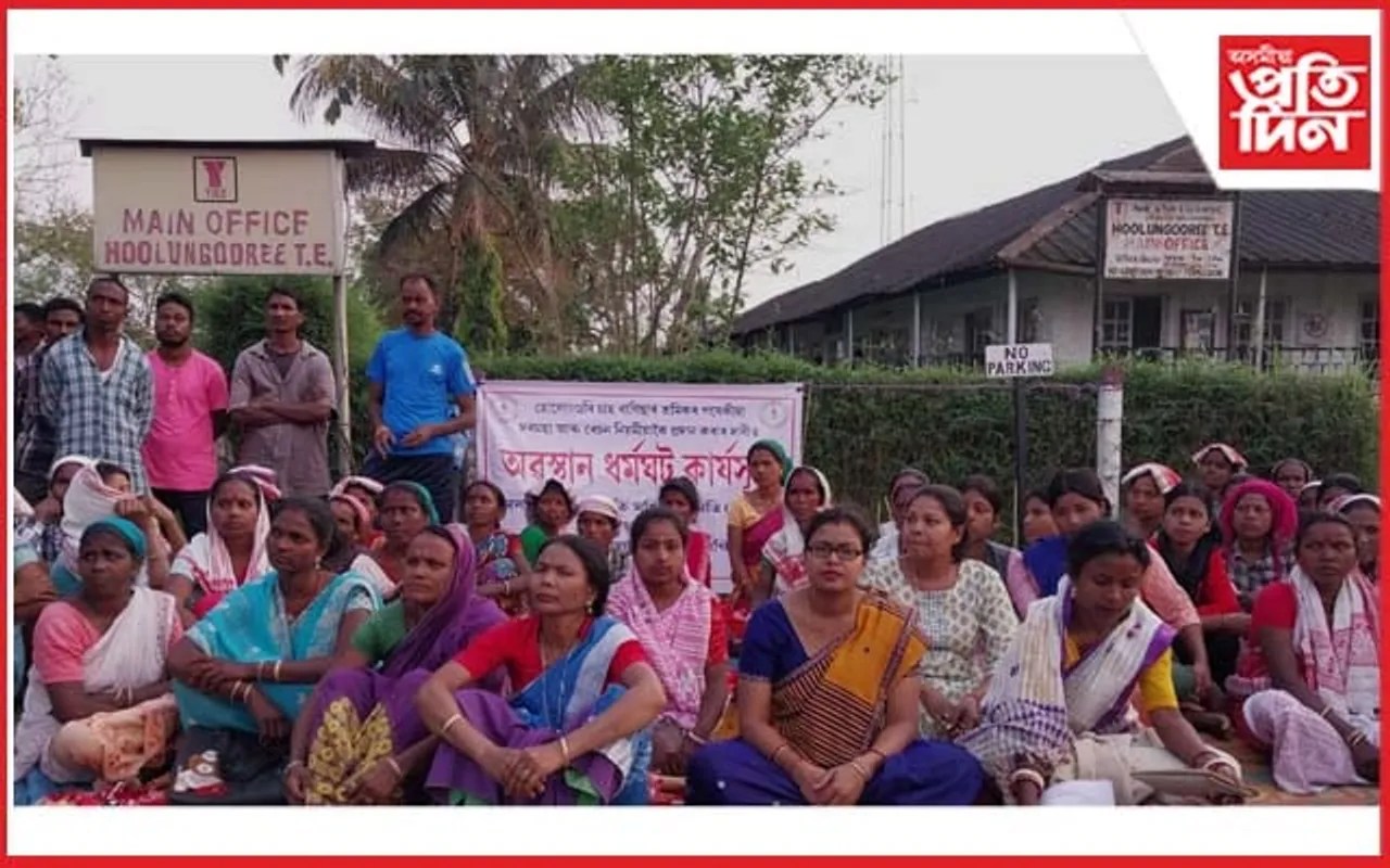 হোলোংগুৰি চাহ বাগিছাত বেতন বঞ্চিত শ্ৰমিকৰ প্ৰতিবাদ..