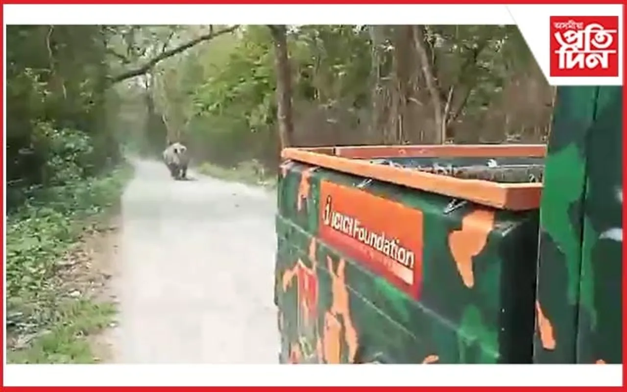 মানাহ ৰাষ্ট্রীয় উদ্যানত বনকৰ্মীৰ বাহনলৈ গঁড়ৰ চোচা