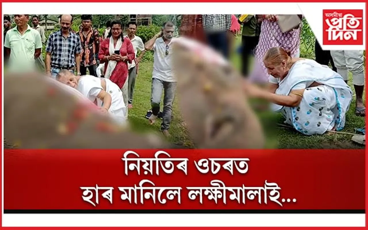 কাজিৰঙাত ৬০বছৰীয়া লক্ষীমালাৰ কৰুণ মৃত্যু...